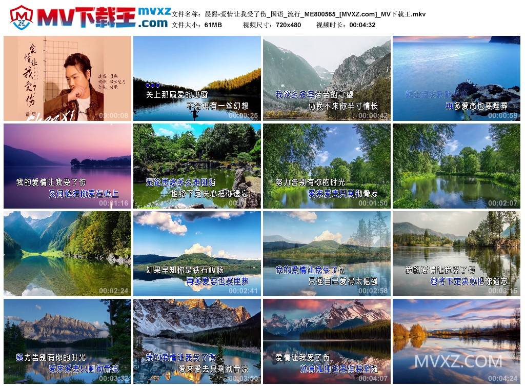 晨熙-爱情让我受了伤_国语_流行_ME800565